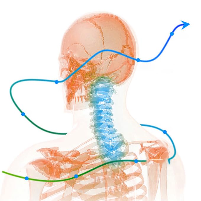 SnoreLess™ - Soporte Ergonómico para el Cuello Antirronquidos y Alineación Cervical